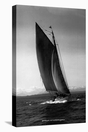 Sloop Sailboat Underway, Circa 1909-Asahel Curtis-Premier Image Canvas