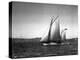 Sloop Sailboat Underway, Circa 1909-Asahel Curtis-Premier Image Canvas