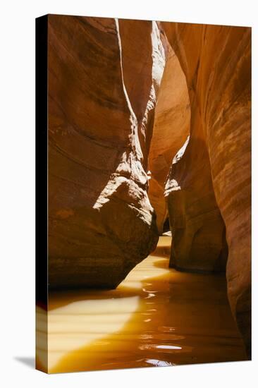 Slot Canyon at Lake Powell NRA, Utah-Zandria Muench Beraldo-Premier Image Canvas