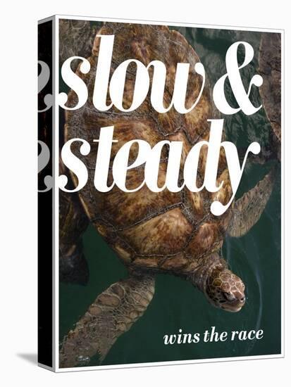 Slow and Steady-Lisa S. Engelbrecht-Premier Image Canvas