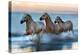 Slow Motion Horses-Xavier Ortega-Premier Image Canvas