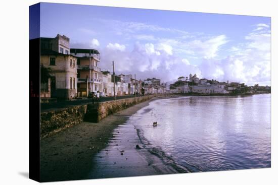 Slums of Salvador, State of Bahia, Brazil-Alfred Eisenstaedt-Premier Image Canvas