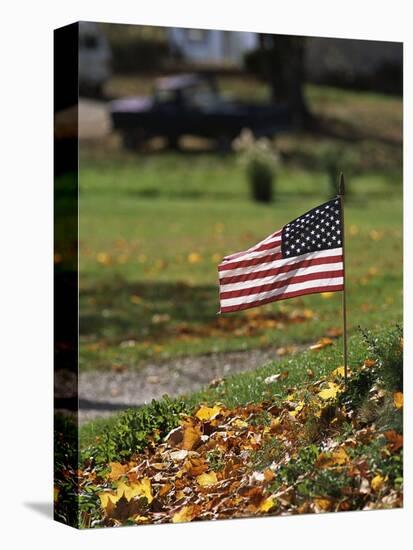 Small American Flag Posted in Yard-Bob Rowan-Premier Image Canvas