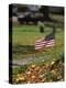 Small American Flag Posted in Yard-Bob Rowan-Premier Image Canvas