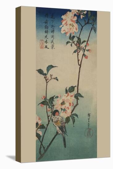 Small Bird on a Branch of Kaidozakura.-Ando Hiroshige-Stretched Canvas