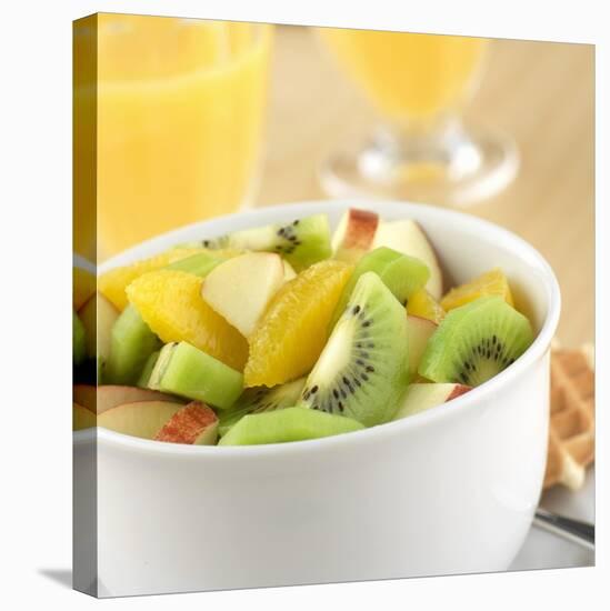 Small Bowl of Fruit Salad-Alexander Feig-Premier Image Canvas