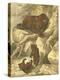 Small Brown Bear-Friedrich Specht-Stretched Canvas