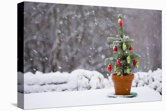 Small Christmas Tree-null-Premier Image Canvas