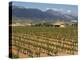 Small church next to the Wine Culture Museum, Briones village, La Rioja, Spain-Janis Miglavs-Premier Image Canvas