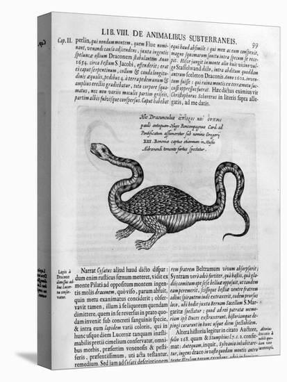 Small Dragon, 1678-Athanasius Kircher-Premier Image Canvas