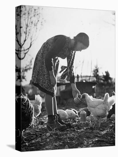 Small Flock of Chickens in Swiss Farmyard Being Fed by Girl of the Farm Family-Yale Joel-Premier Image Canvas