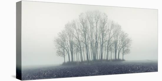 Small Forest in Autumn Foggy Morning-Konrad B?k-Premier Image Canvas