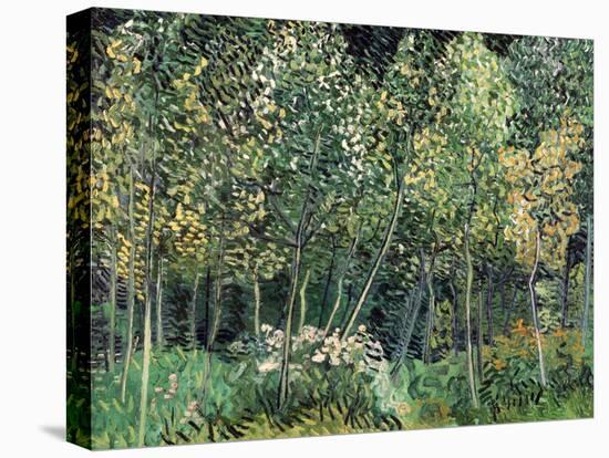 Small forest, July 1890-Vincent van Gogh-Premier Image Canvas