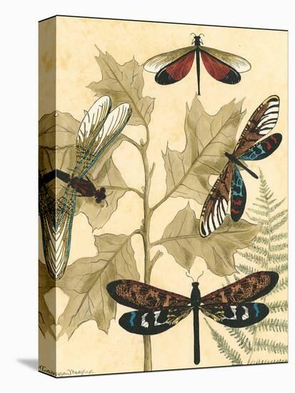 Small Graphic Dragonflies I-Megan Meagher-Stretched Canvas