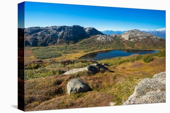 Small lake with Alaska Range in background, seen from K'esugi Ridge Trail, Denali State Park-Jan Miracky-Premier Image Canvas