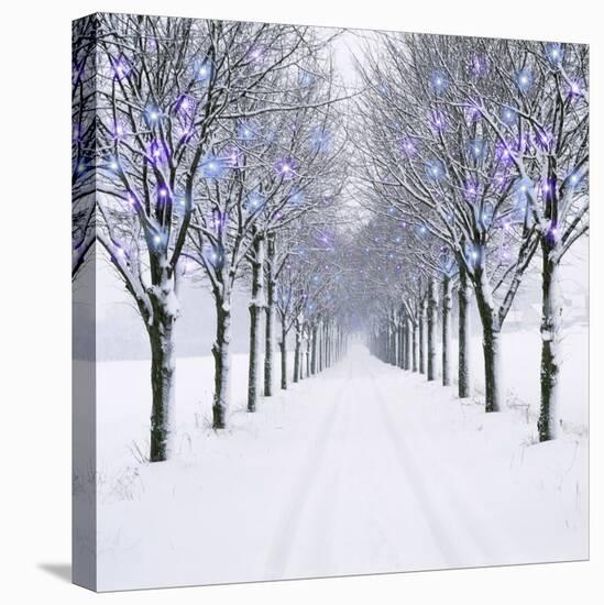 Small-Leaved Lime Trees in Winter Snow-Ake Lindau-Premier Image Canvas