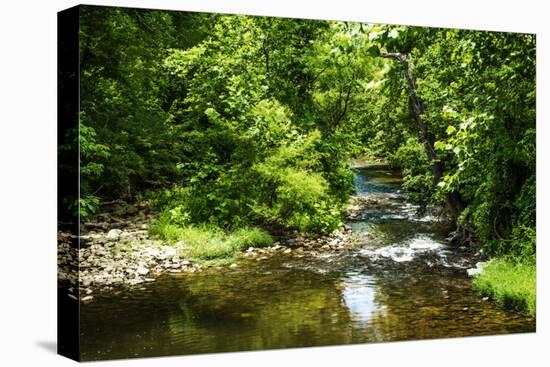 Small Mountain Stream I-Alan Hausenflock-Premier Image Canvas