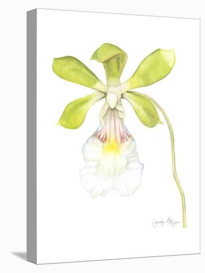 Small Orchid Beauty I-Jennifer Goldberger-Stretched Canvas