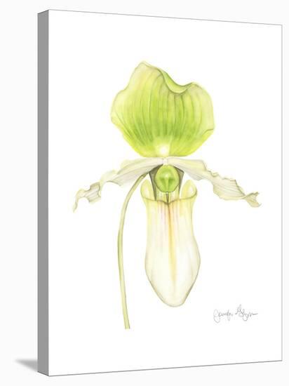 Small Orchid Beauty IV-Jennifer Goldberger-Stretched Canvas