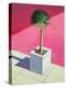 Small Palm, 1995-Lincoln Seligman-Premier Image Canvas