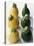 Small, Round, Yellow and Green Courgettes-Debi Treloar-Premier Image Canvas