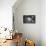 Small things-Philippe Sainte-Laudy-Premier Image Canvas displayed on a wall