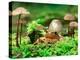 Small Toad Surrounded by Mushrooms, Jasmund National Park, Island of Ruegen, Germany-Christian Ziegler-Premier Image Canvas