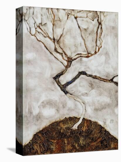 Small Tree in Late Autumn, 1911-Egon Schiele-Premier Image Canvas