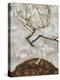 Small Tree in Late Autumn-Egon Schiele-Premier Image Canvas