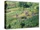 Small Village in Hosana Region, Shoa Province, Ethiopia, Africa-J P De Manne-Premier Image Canvas