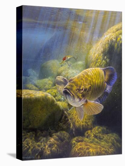 Smallmouth Bass-Larry Tople-Premier Image Canvas