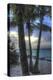 Smathers Beach Sunrise Vertical 2-Robert Goldwitz-Premier Image Canvas