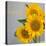 Smile: Sunflower Bouquet-Nicole Katano-Stretched Canvas