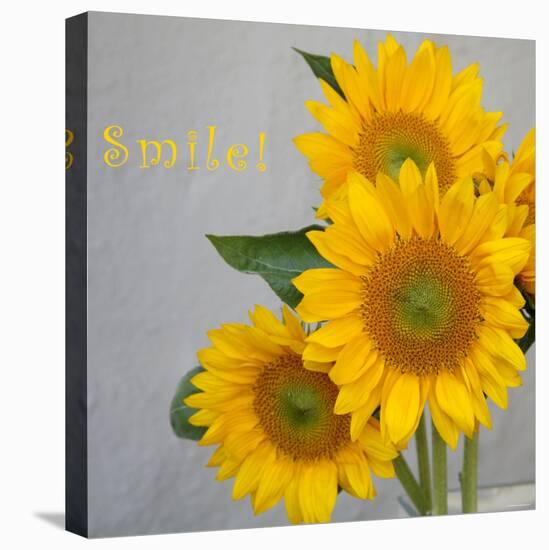 Smile: Sunflower Bouquet-Nicole Katano-Stretched Canvas