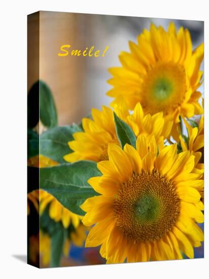 Smile: Sunny Sunflower-Nicole Katano-Stretched Canvas