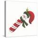 Smiling Candy Cane-Beverly Johnston-Premier Image Canvas