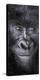 Smiling-Art Wolfe-Premier Image Canvas