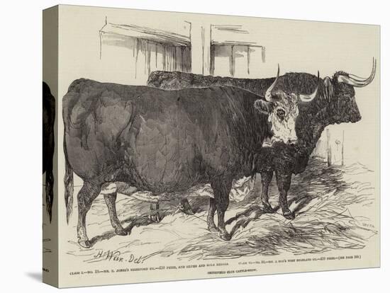 Smithfield Club Cattle-Show-Harrison William Weir-Premier Image Canvas