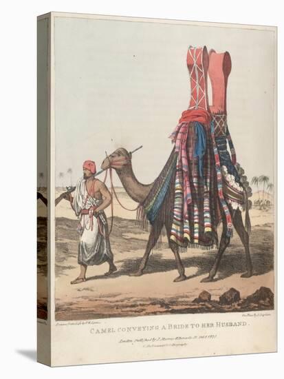 Smithsonian Libraries: Camel Conveying a Bride to her Husband-null-Stretched Canvas