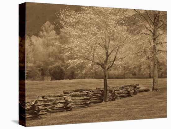 Smokies Fence-Wendy Caro-Stretched Canvas