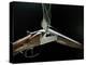 Smoking Shotgun-Victor De Schwanberg-Premier Image Canvas