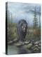 Smoky Mountain Black Bear-Robert Wavra-Premier Image Canvas