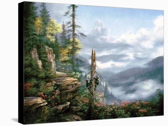 Smoky Mountains-Rudi Reichardt-Stretched Canvas