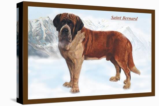 Smooth Coated Saint Bernard-null-Stretched Canvas