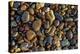 Smooth granite pebbles on beach of Lake Superior, Whitefish Point, Michigan-Adam Jones-Premier Image Canvas