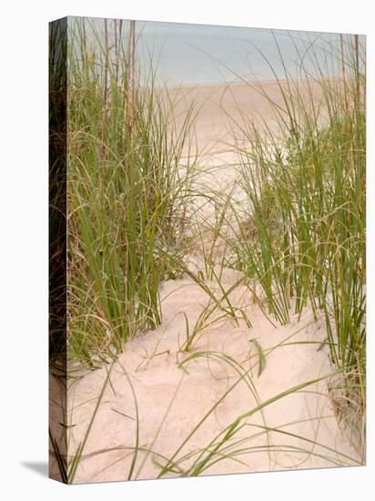 Smyrna Dunes Park, New Smyrna Beach, Florida-Lisa S^ Engelbrecht-Premier Image Canvas