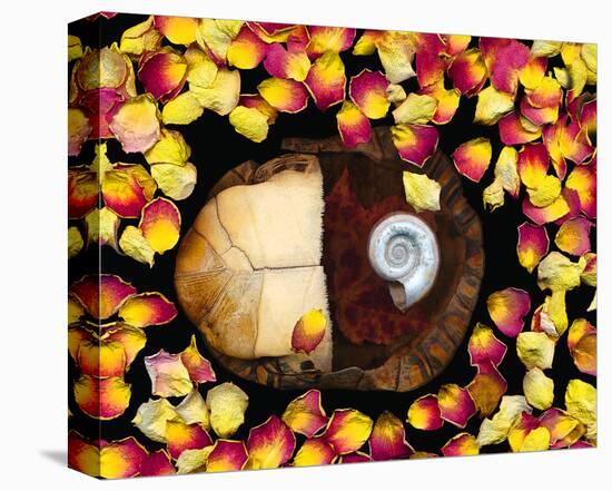 Snail painted Rose Petals-null-Stretched Canvas