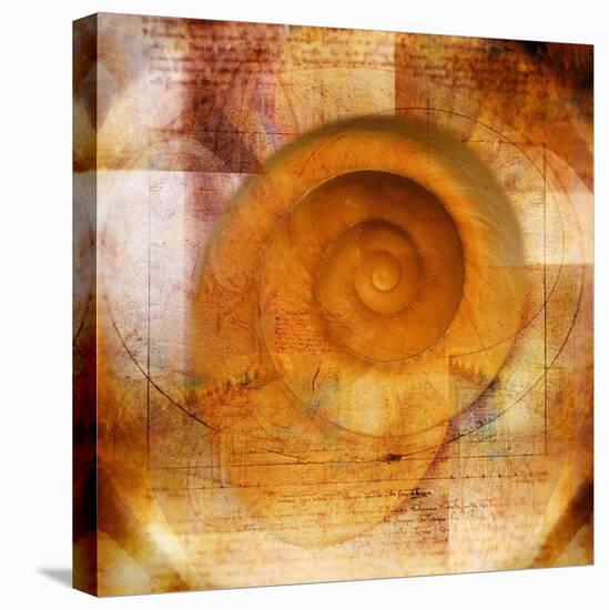 Snail Shell and Handwriting-Colin Anderson-Premier Image Canvas