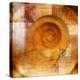 Snail Shell and Handwriting-Colin Anderson-Premier Image Canvas