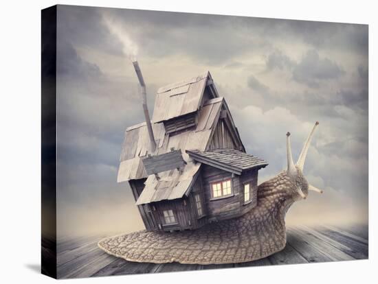 Snail with a Shell House-egal-Premier Image Canvas